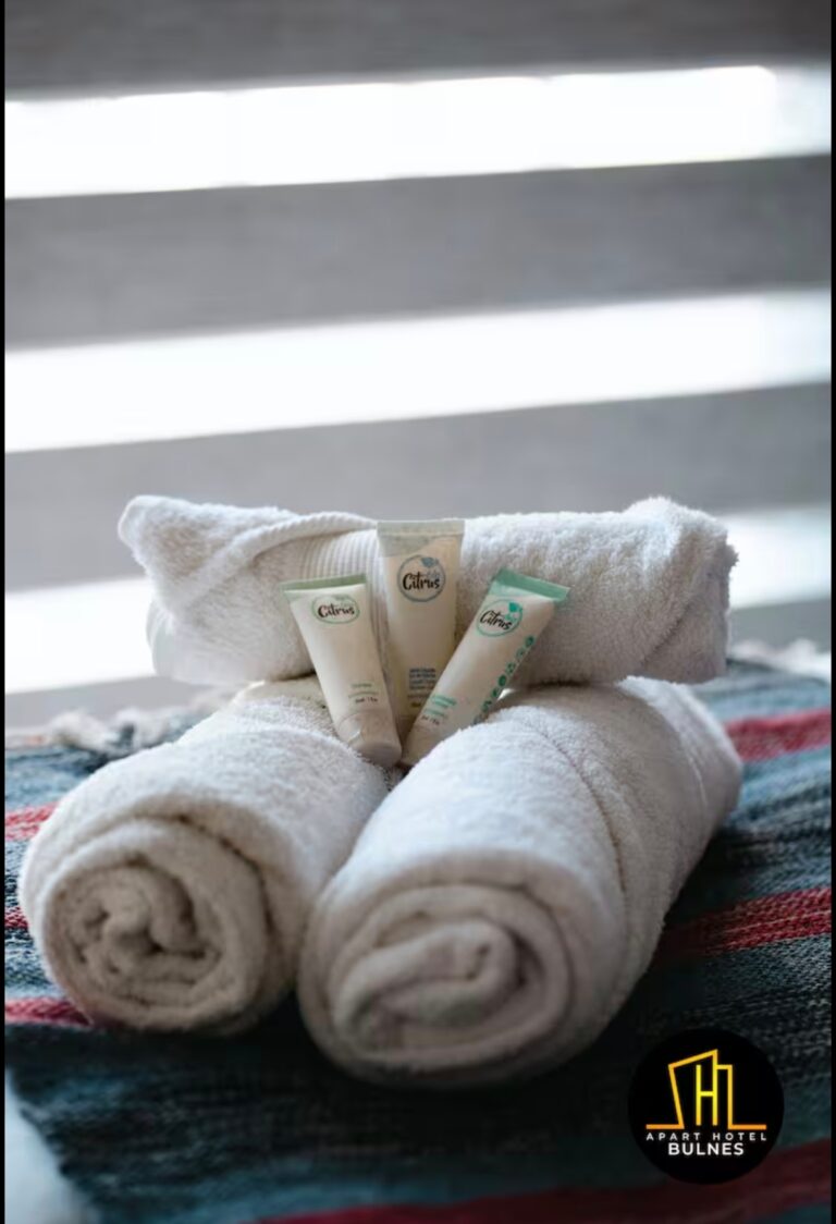 apart hotel bulnes & lodge